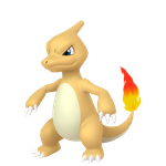 火恐龙（闪光）