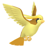 大比鸟（闪光）