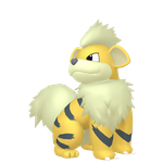 卡蒂狗（闪光）