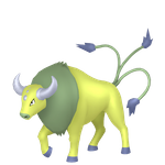 肯泰罗（闪光）