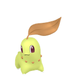 菊草叶（闪光）