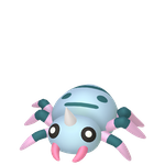 圆丝蛛（闪光）