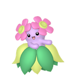 美丽花（闪光）