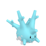 太阳珊瑚（闪光）