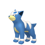 戴鲁比（闪光）