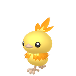 火稚鸡（闪光）