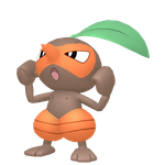 长鼻叶（闪光）