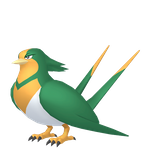 大王燕（闪光）