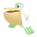 大嘴鸥（闪光）