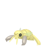 土居忍士（闪光）