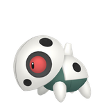 可可多拉（闪光）