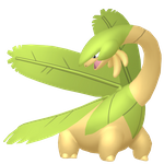 热带龙（闪光）