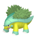 树林龟（闪光）