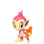 小火焰猴（闪光）