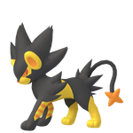 伦琴猫（闪光）