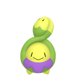 含羞苞（闪光）