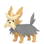 哈约克（闪光）