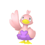 鸭宝宝（闪光）