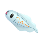 麻麻小鱼（闪光）