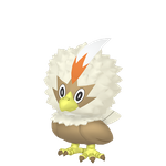 毛头小鹰（闪光）