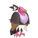 秃鹰娜（闪光）