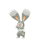 掘掘兔（闪光）