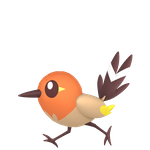 小箭雀（闪光）