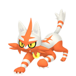 炎热喵（闪光）