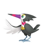 喇叭啄鸟（闪光）