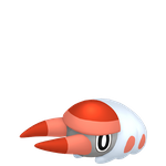 强颚鸡母虫（闪光）