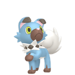 岩狗狗（闪光）