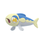 弱丁鱼（闪光）