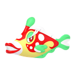 磨牙彩皮鱼（闪光）