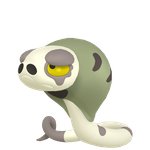 沙包蛇（闪光）