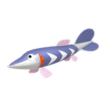 刺梭鱼（闪光）