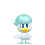 润水鸭（闪光）