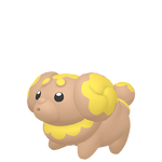 狗仔包（闪光）