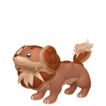 麻花犬（闪光）