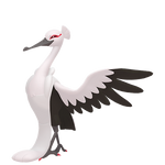 下石鸟（闪光）