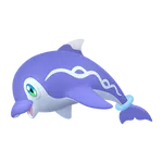 波普海豚（闪光）