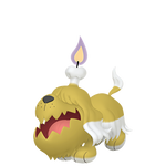 墓仔狗（闪光）