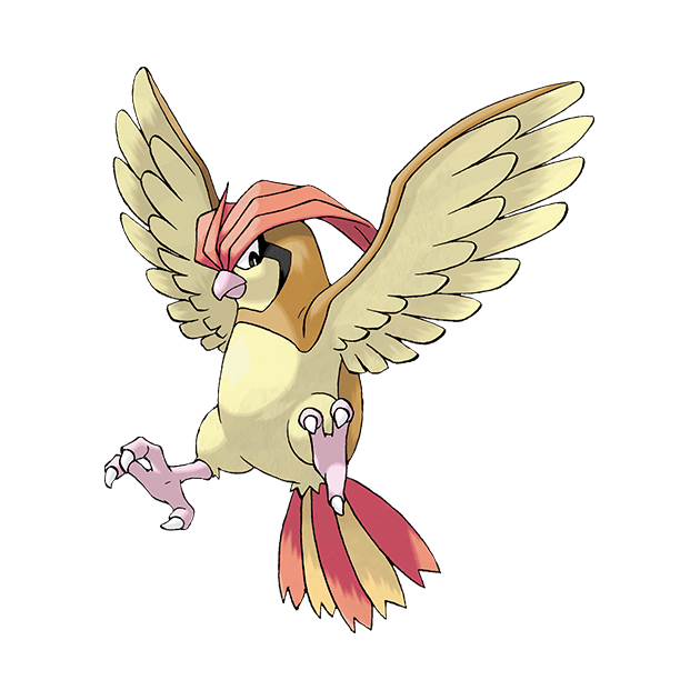 #0017 比比鸟 - 一般、飞行属性宝可梦