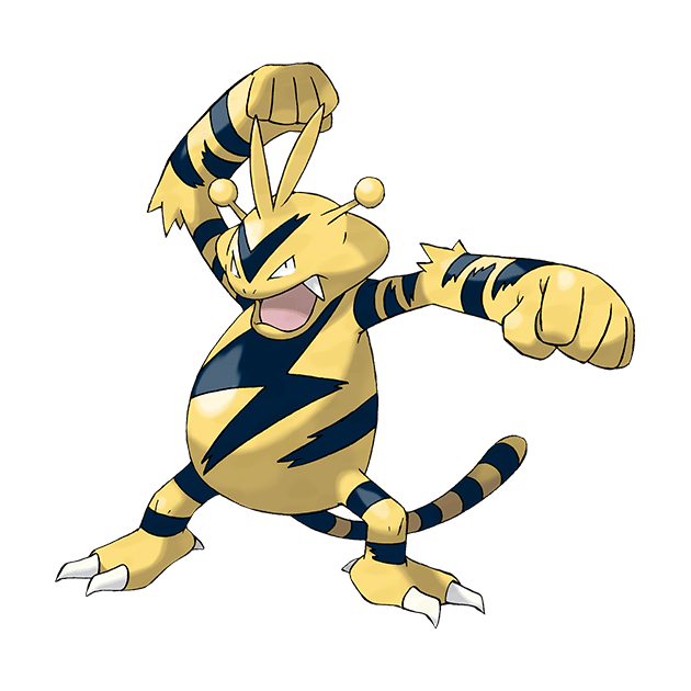 #0125 电击兽 - 电属性宝可梦