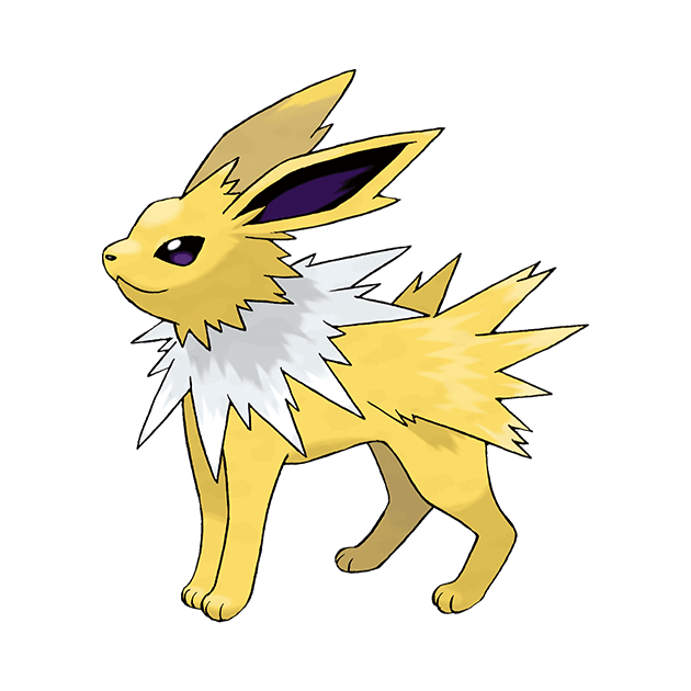 #0135 雷伊布 - 电属性宝可梦