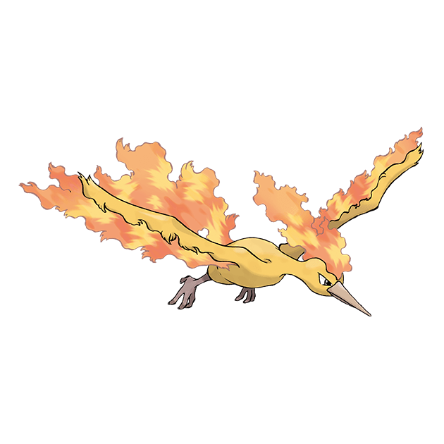 #0146 火焰鸟 - 火、飞行属性宝可梦