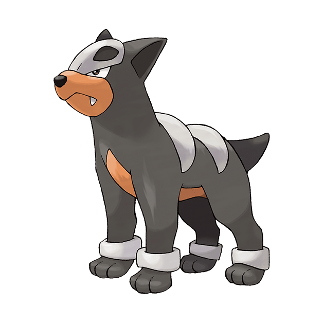 #0228 戴鲁比 - 恶、火属性宝可梦