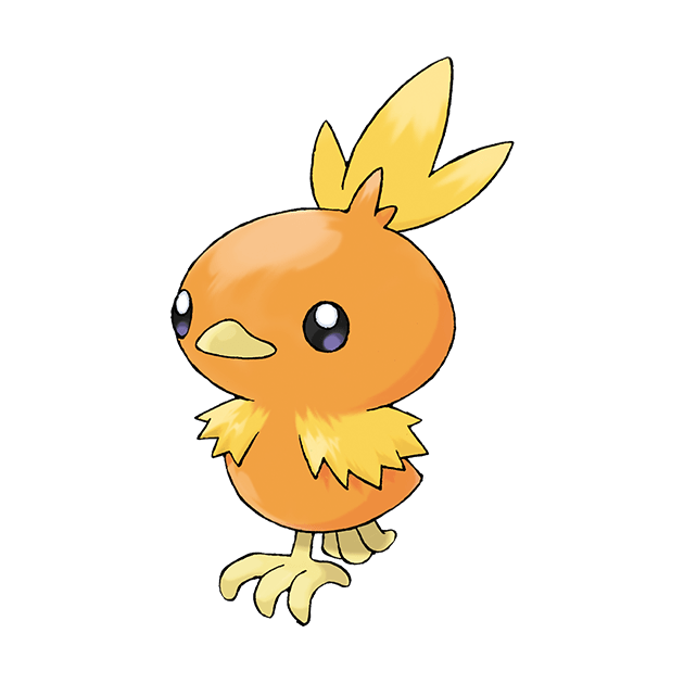 #0255 火稚鸡 - 火属性宝可梦