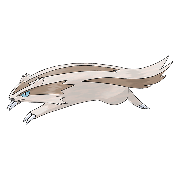 #0264 直冲熊 - 一般属性宝可梦