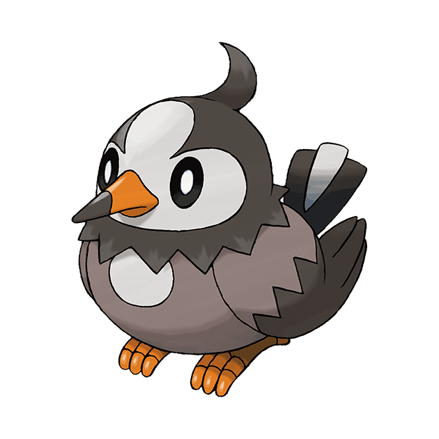 #0396 姆克儿 - 一般、飞行属性宝可梦