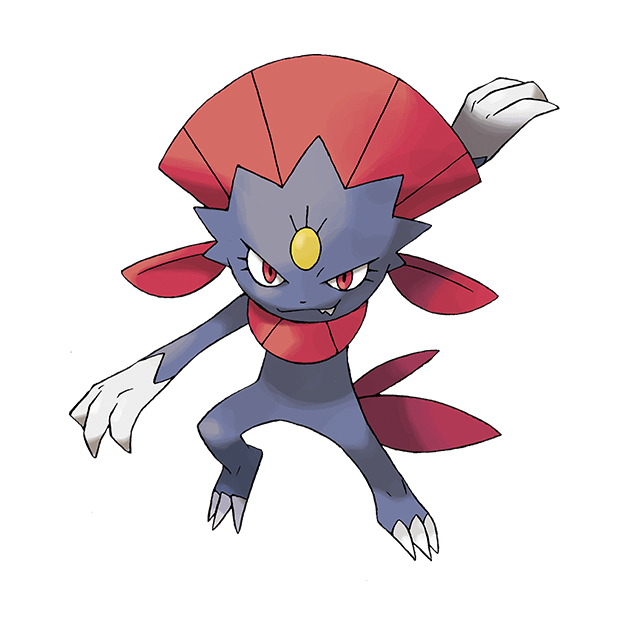 #0461 玛狃拉 - 恶、冰属性宝可梦